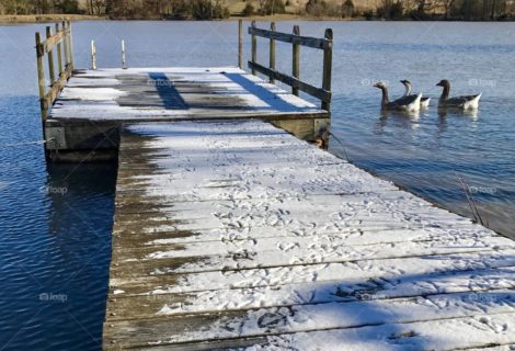 Open Water Swimming – Closed for Winter